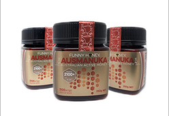 2100+Mgo 250g Australian Manuka Honey 3 ×Value Pack AUSMANUKA